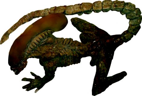 figura05.jpg